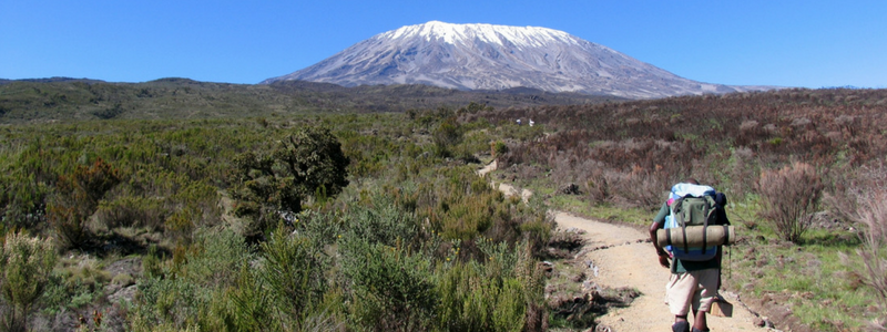 Trekking to the summit of Kilimanjaro